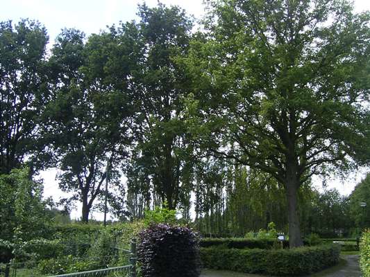 De Velden, Eersel