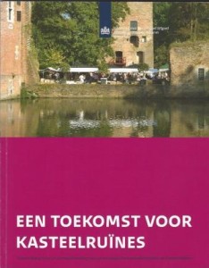 Cover of Een toekomst voor kasteelruïnes: Handleiding voor de instandhouding van archeologische kasteelterreinen en kasteelruïnes book