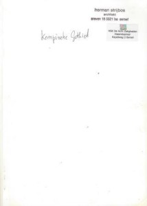 Cover of Kempense gotiek: een veel gehanteerd begrip met een onduidelijke inhoud book