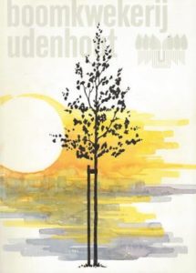Cover of Bomenboek Boomkwekerij Udenhout: Laanbomen book