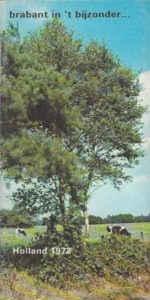 Cover of Brabant in ’t bijzonder book